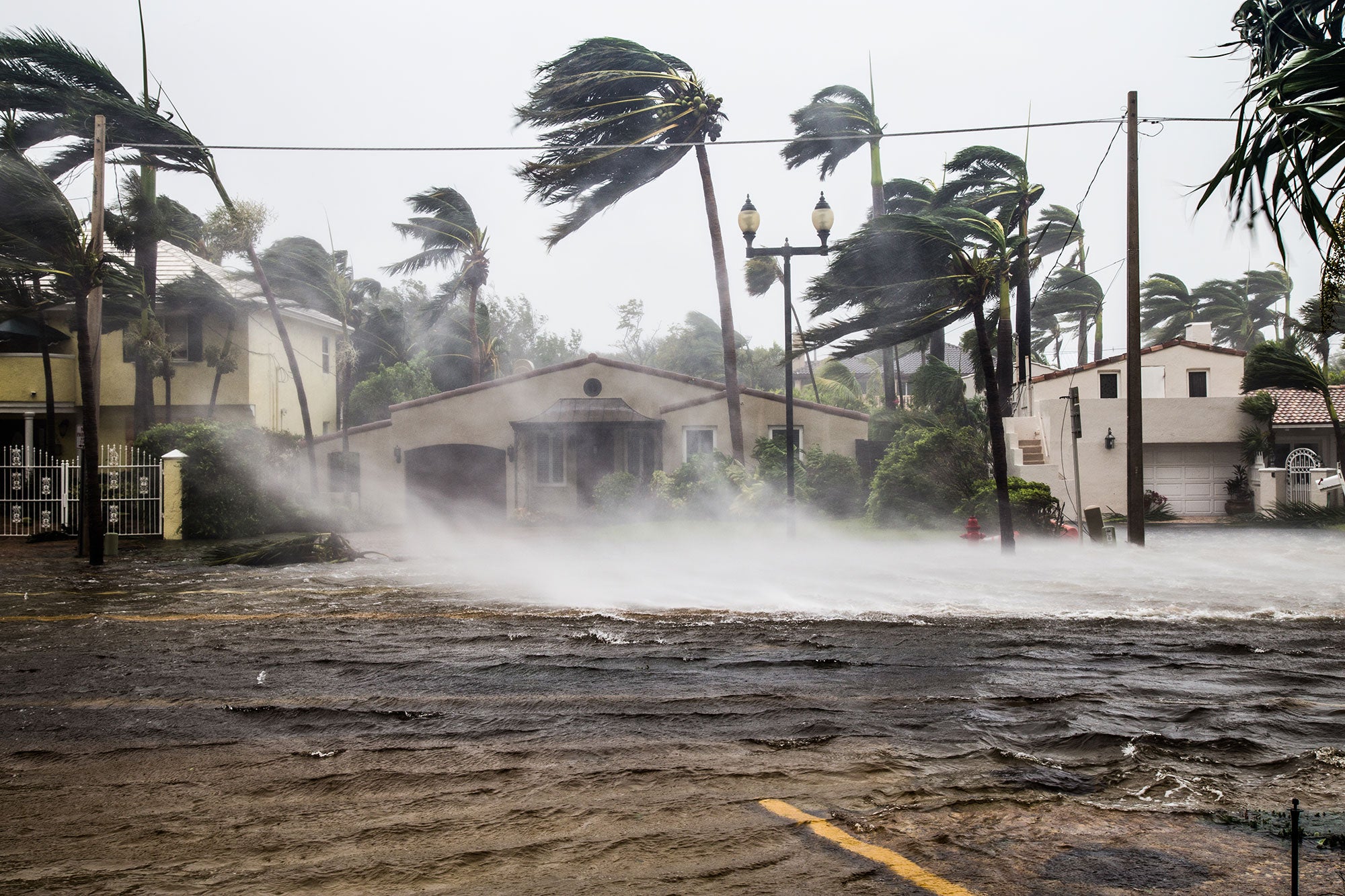Hurricanes: Unprecedented Extremes or the New Normal? | Tufts Now