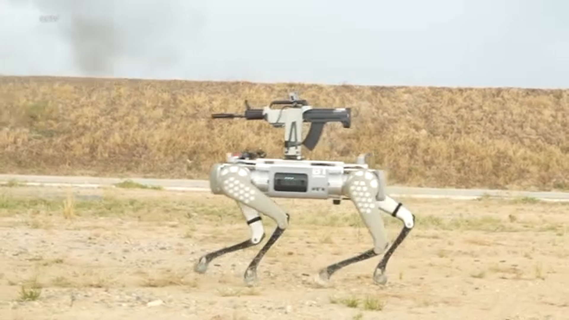 China's military shows off robot dogs during drills with Cambodia - ABC7  New York