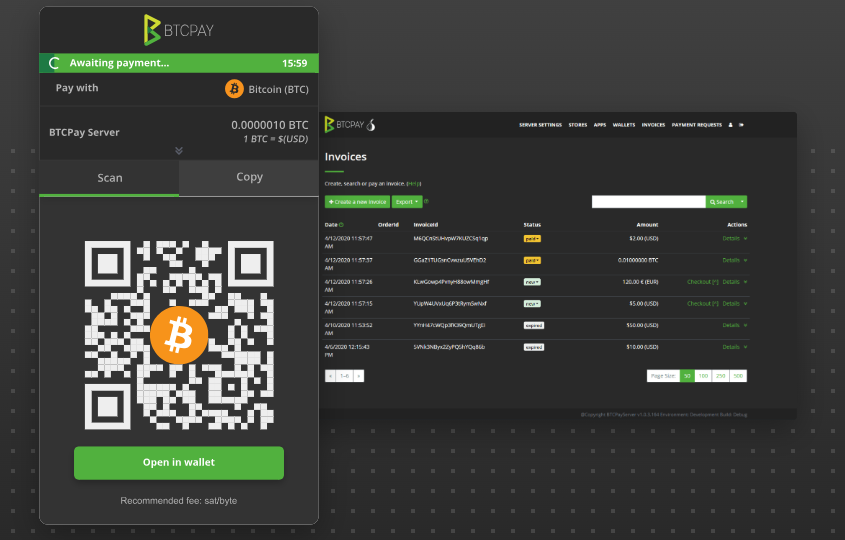 How Businesses Can Use BTCPay Server to Accept Bitcoin for Products and Services