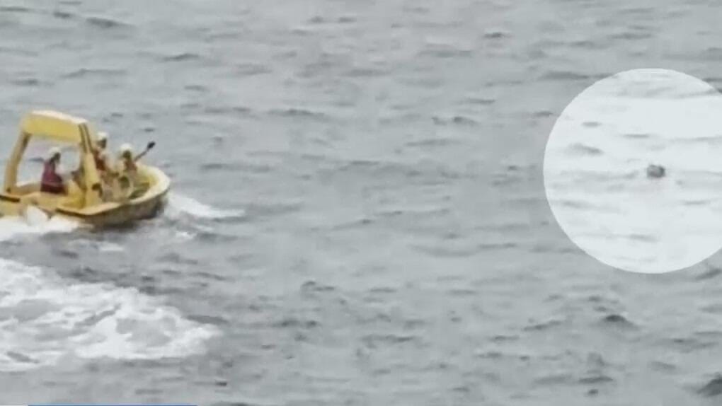 5 year old falls Overboard on Disney Cruise Ship: The Miraculous Rescue and Survival Tips You Need to Know