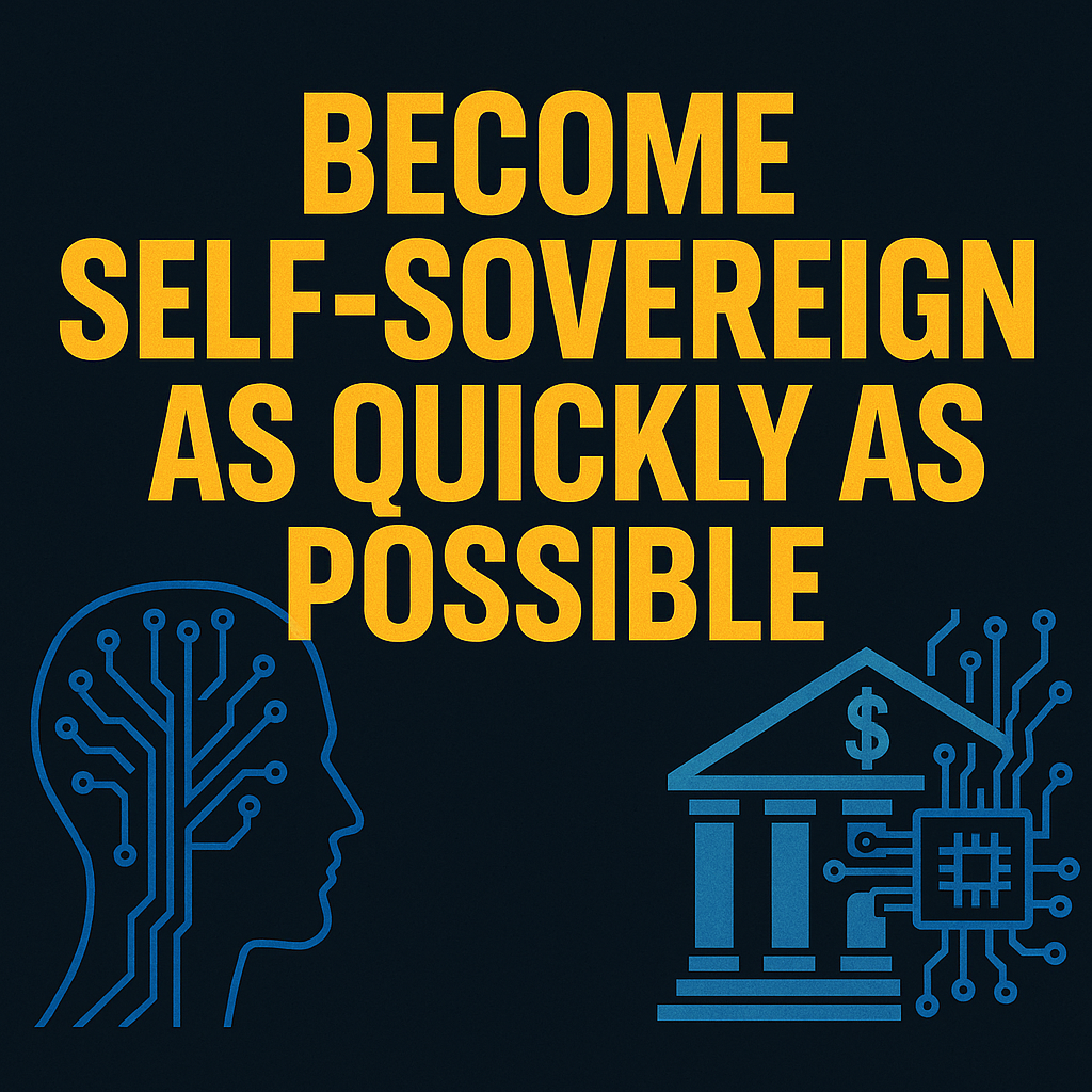 Why You Need To Become Self Sovereign As Quickly As Possible